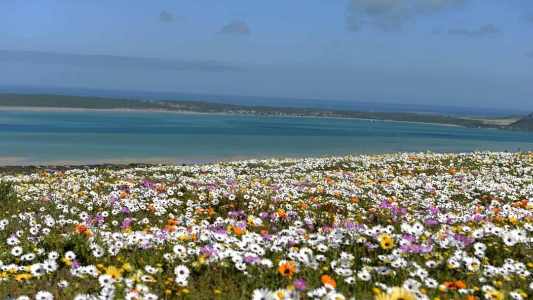 Seagulls Guest House Langebaan Exterior photo